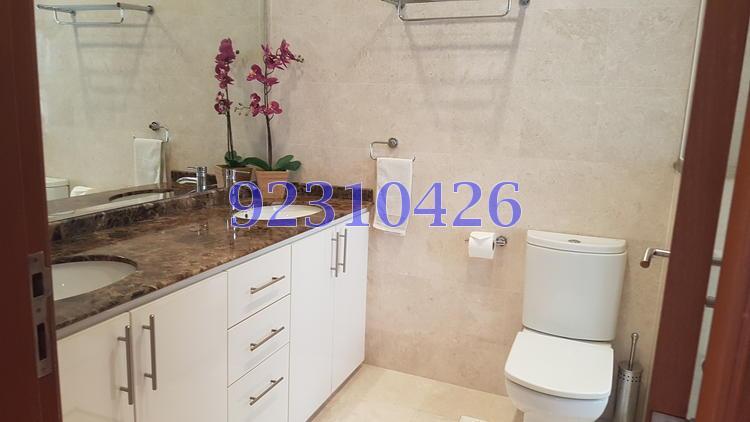 Windsor Park (D20), Terrace #137262852
